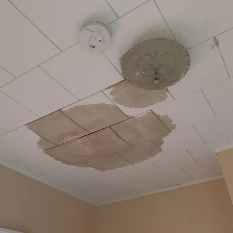 Ceiling Water Damage Repair in Woodruff County, AR