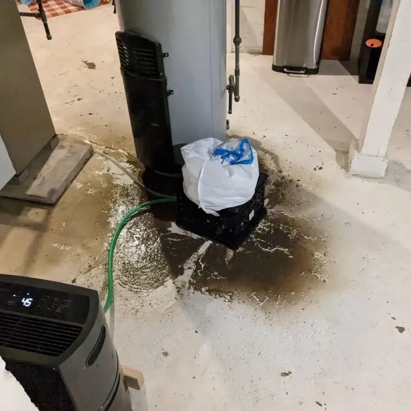 Sewage Backup Cleanup Service in Woodruff County, AR